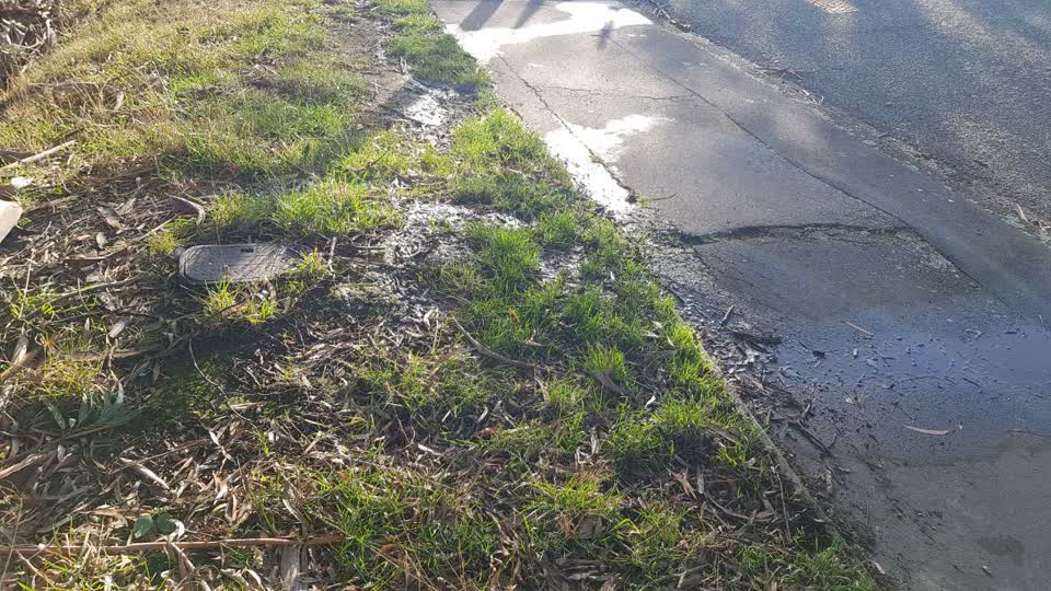 The photograph attached to this water supply report