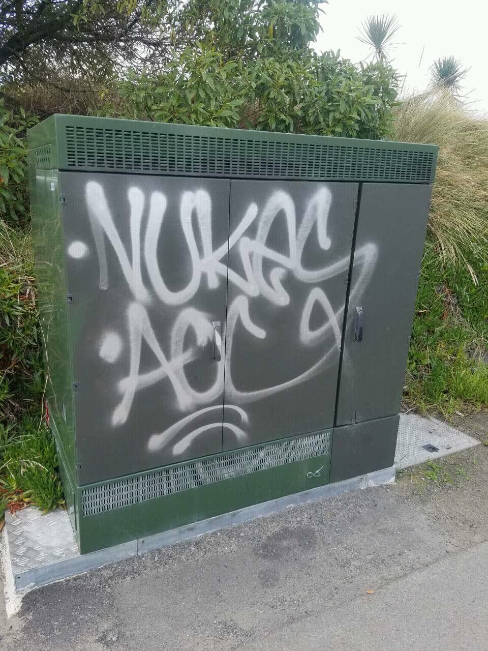 The photograph attached to this graffiti report