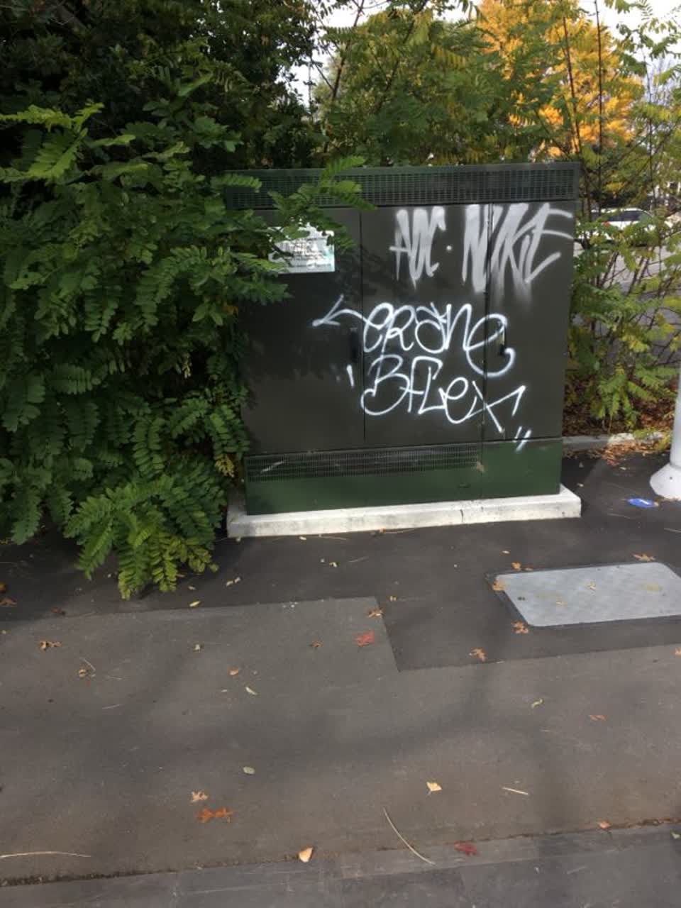 The photograph attached to this graffiti report