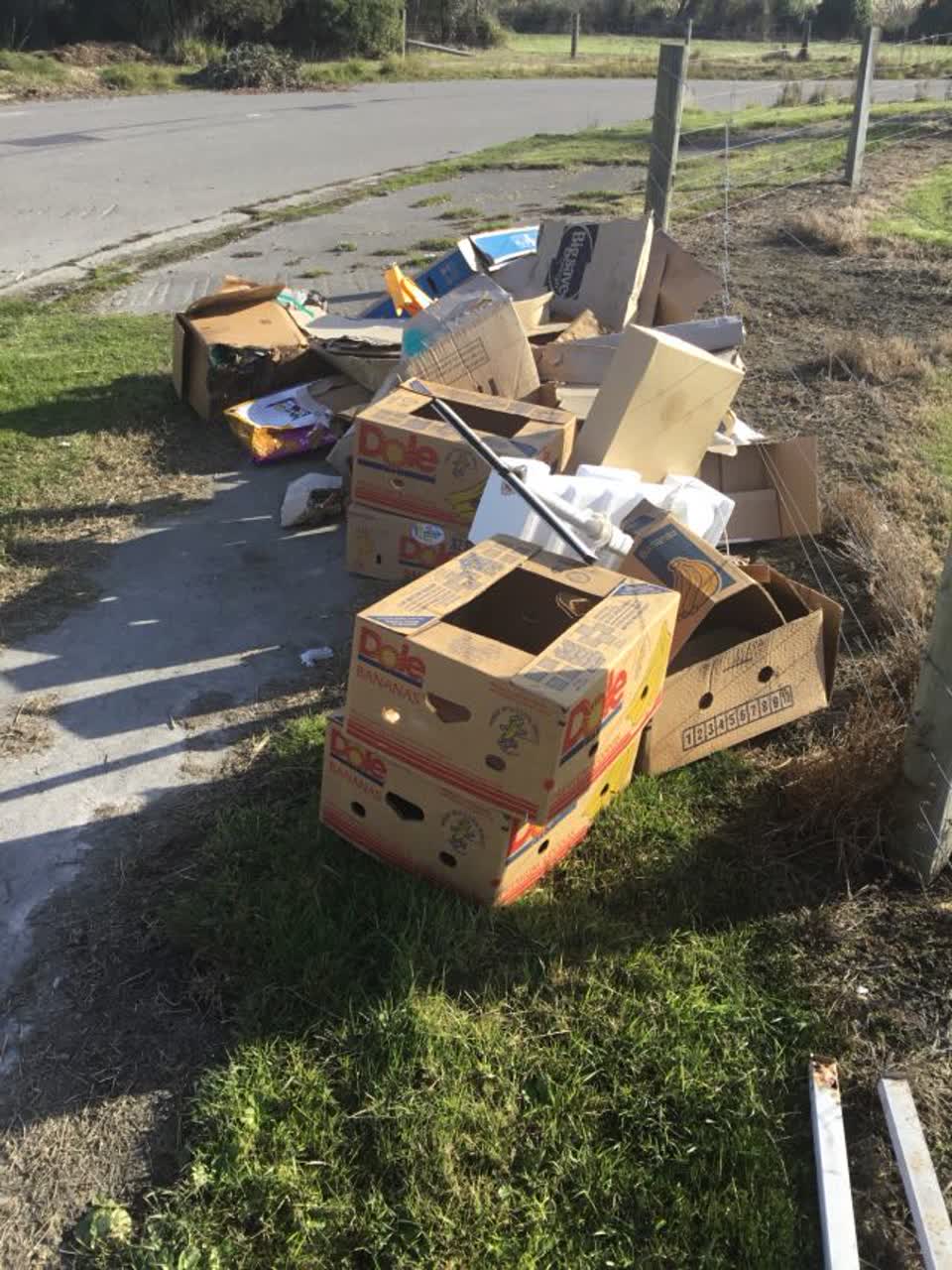 The photograph attached to this rubbish/recycling report