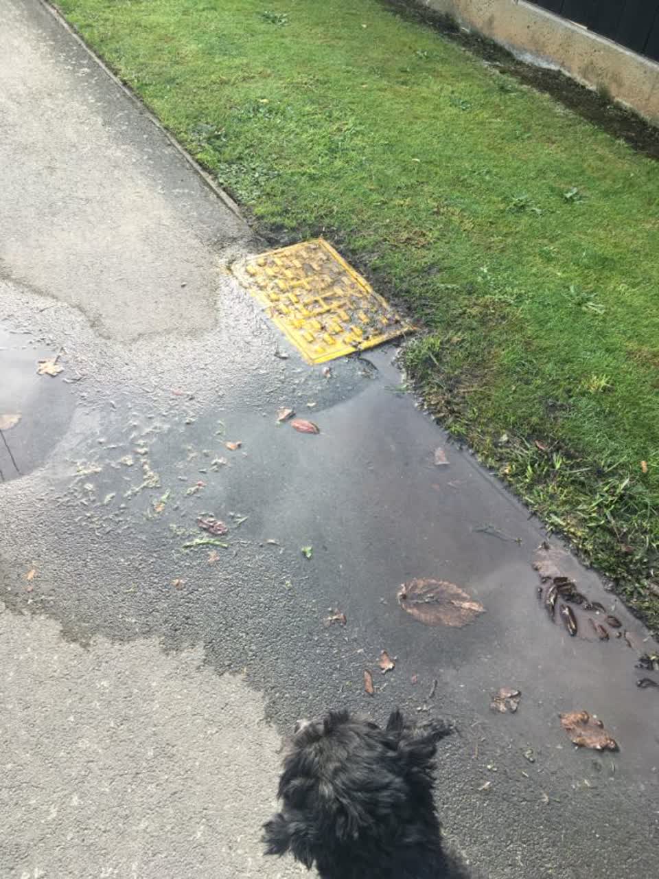 The photograph attached to this water supply report