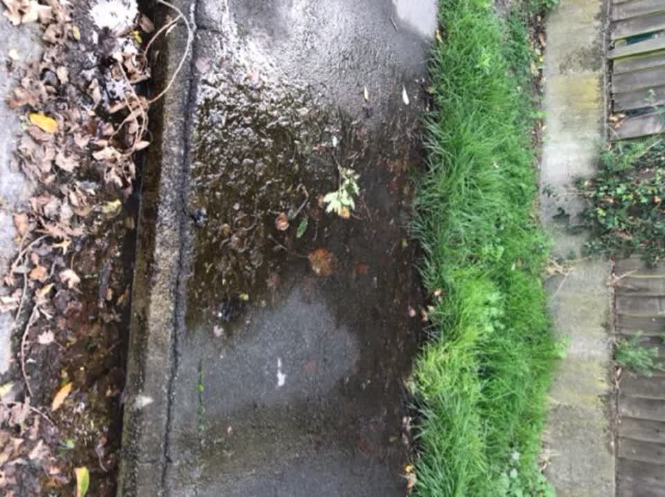 The photograph attached to this water supply report