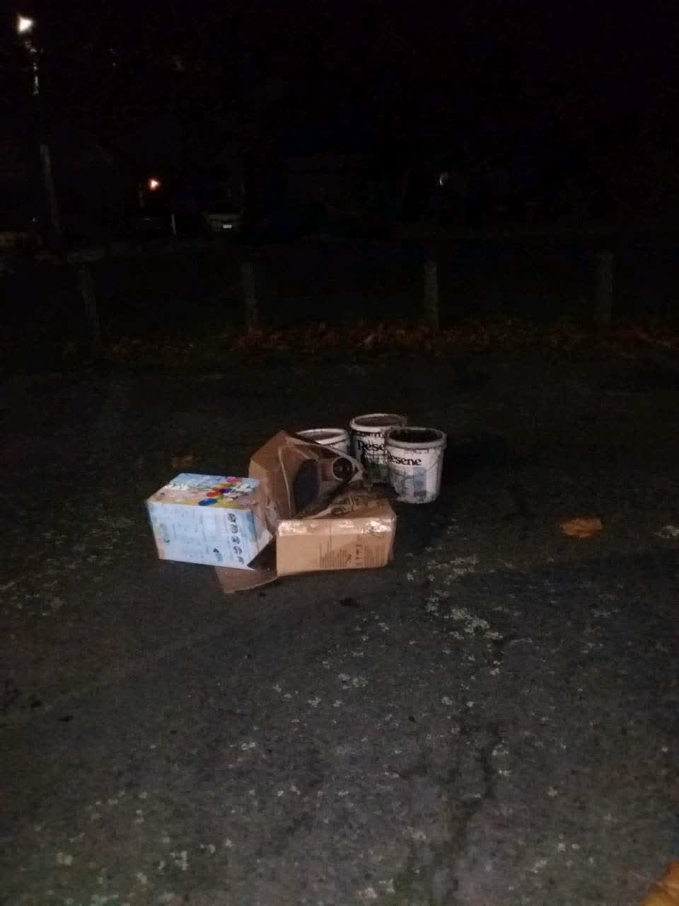 The photograph attached to this rubbish/recycling report