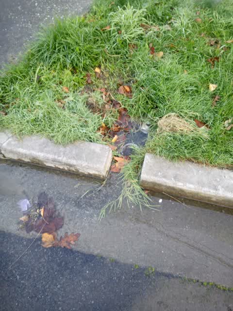 Wastewater/Stormwater, a report photo