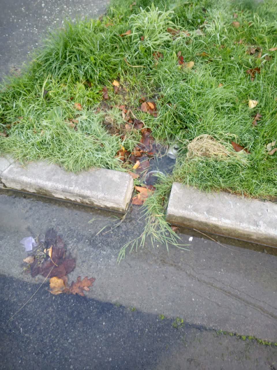The photograph attached to this wastewater/stormwater report