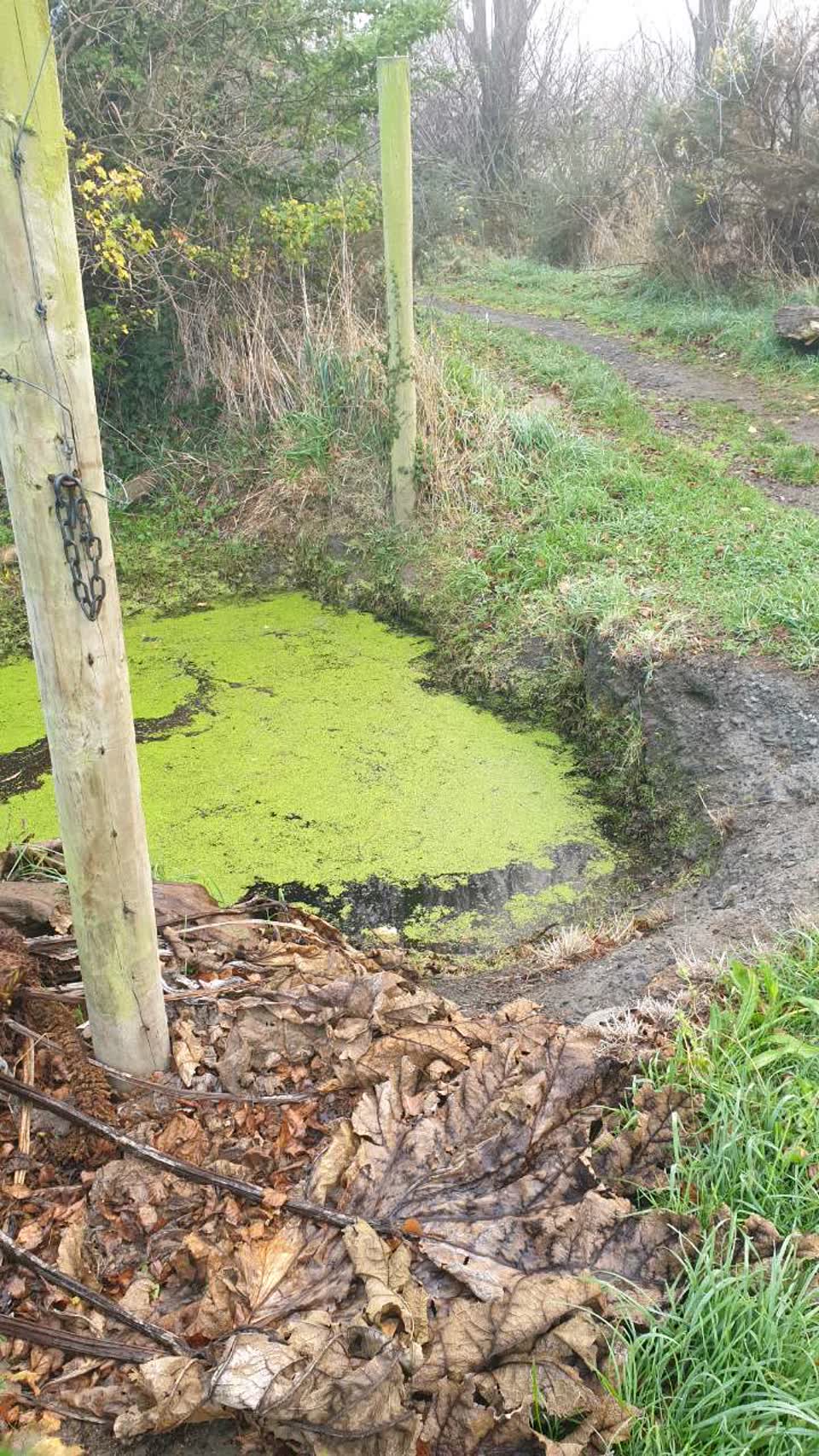 The photograph attached to this wastewater/stormwater report