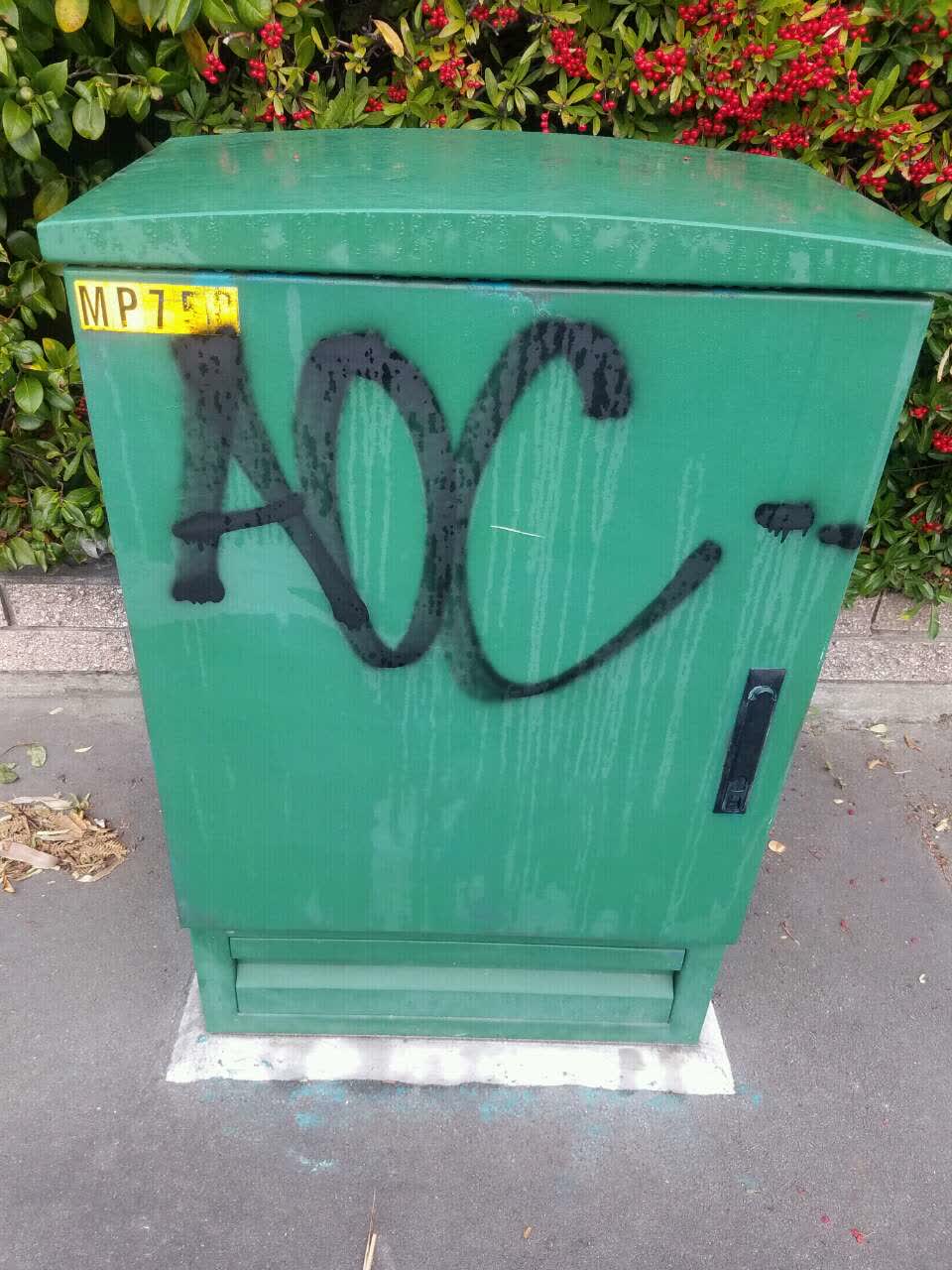 The photograph attached to this graffiti report