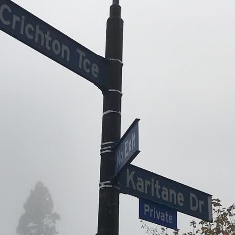 Roading/Streets, a report photo