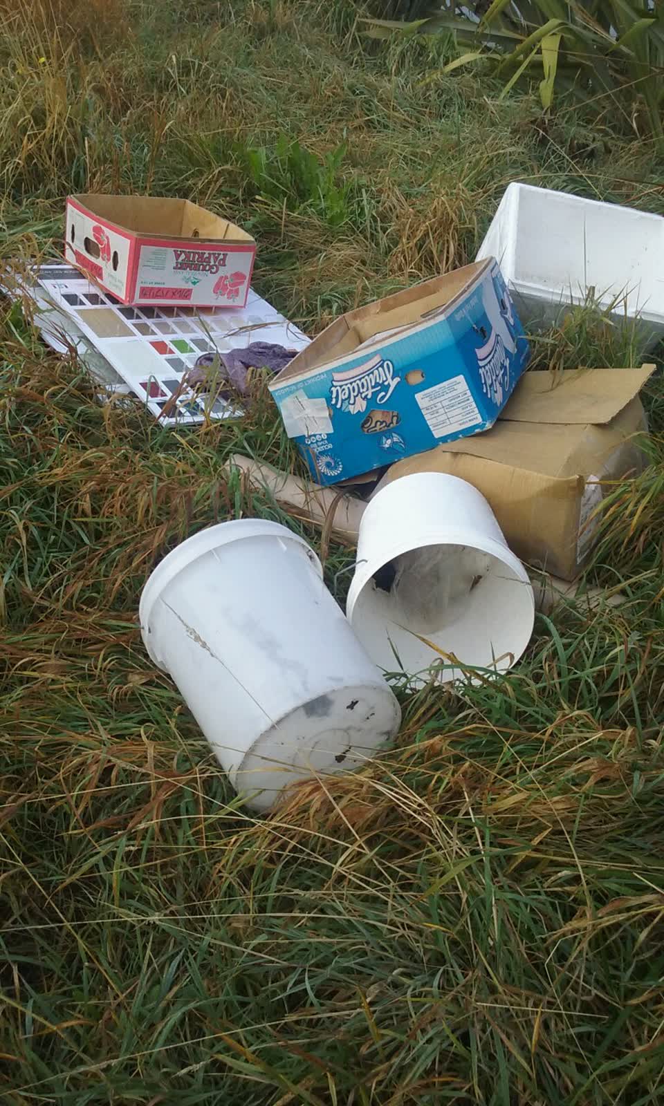 The photograph attached to this rubbish/recycling report