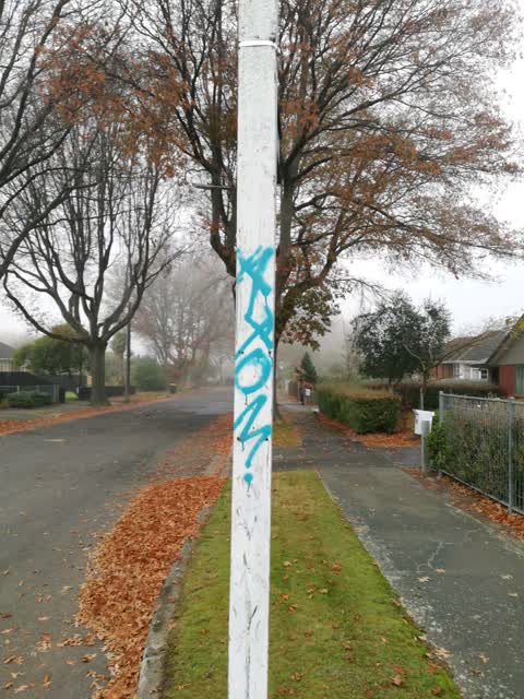 Graffiti, a report photo