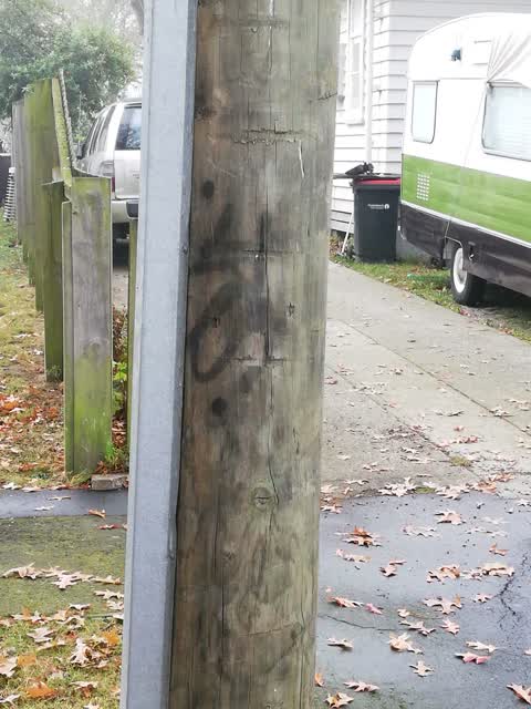 Graffiti, a report photo