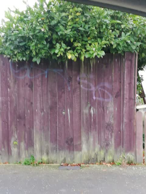 Graffiti, a report photo