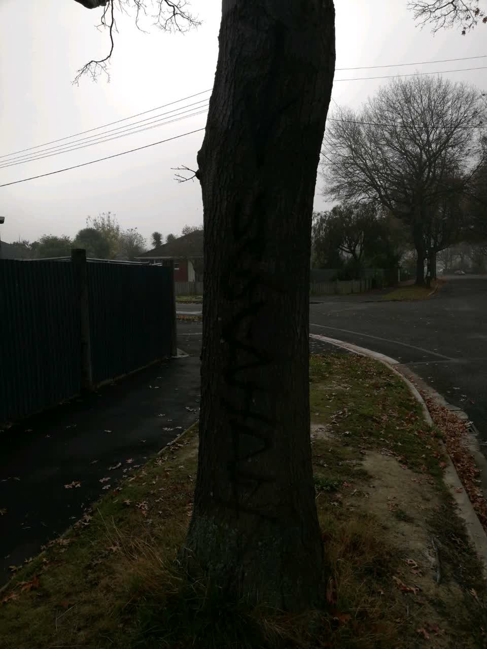 The photograph attached to this graffiti report