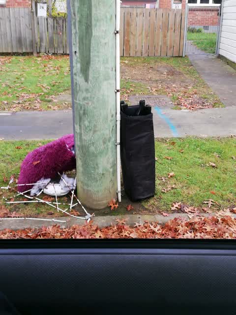 Rubbish/Recycling, a report photo