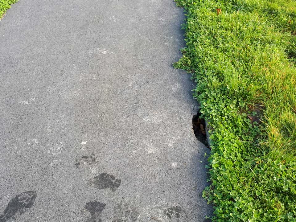 The photograph attached to this roading/streets report