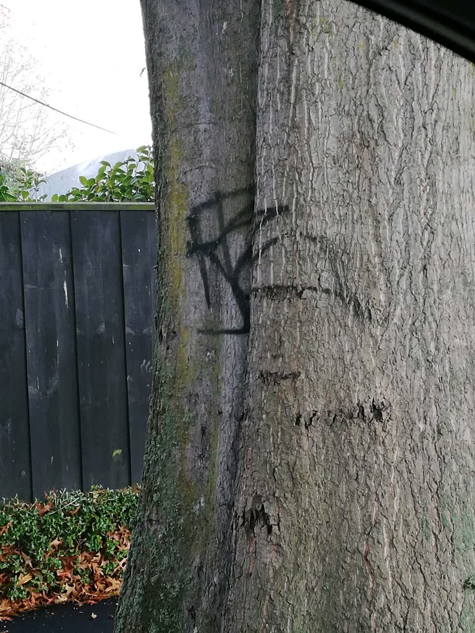 The photograph attached to this graffiti report