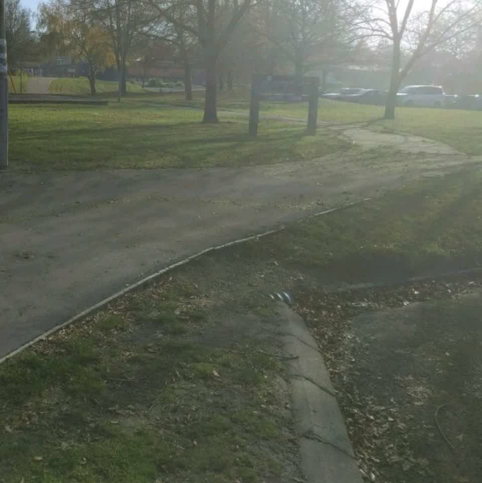 The photograph attached to this parks report