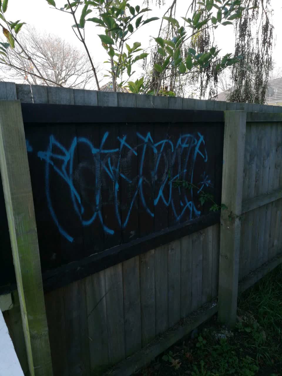 The photograph attached to this graffiti report