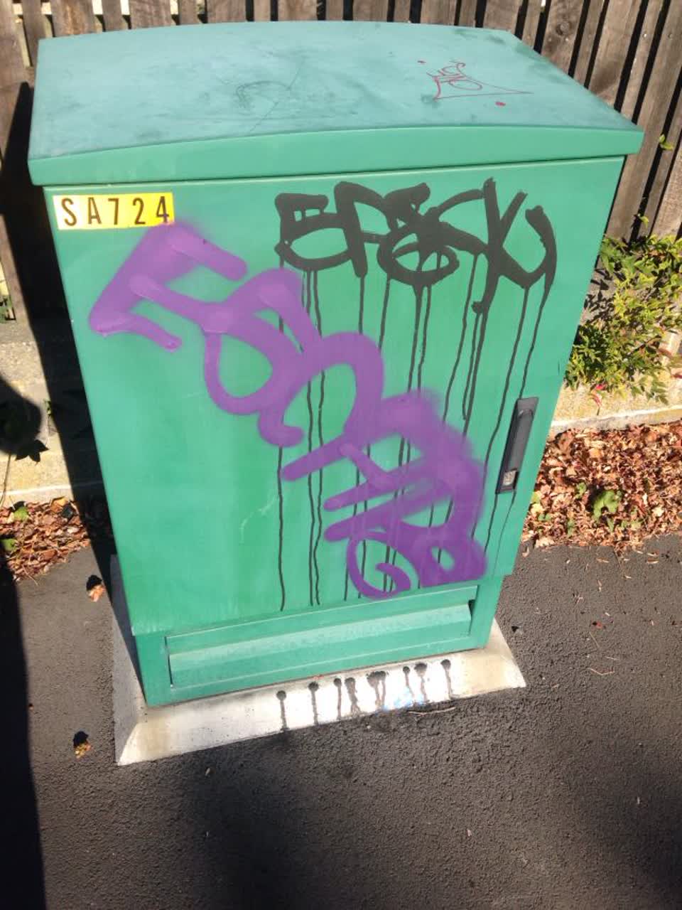 The photograph attached to this graffiti report