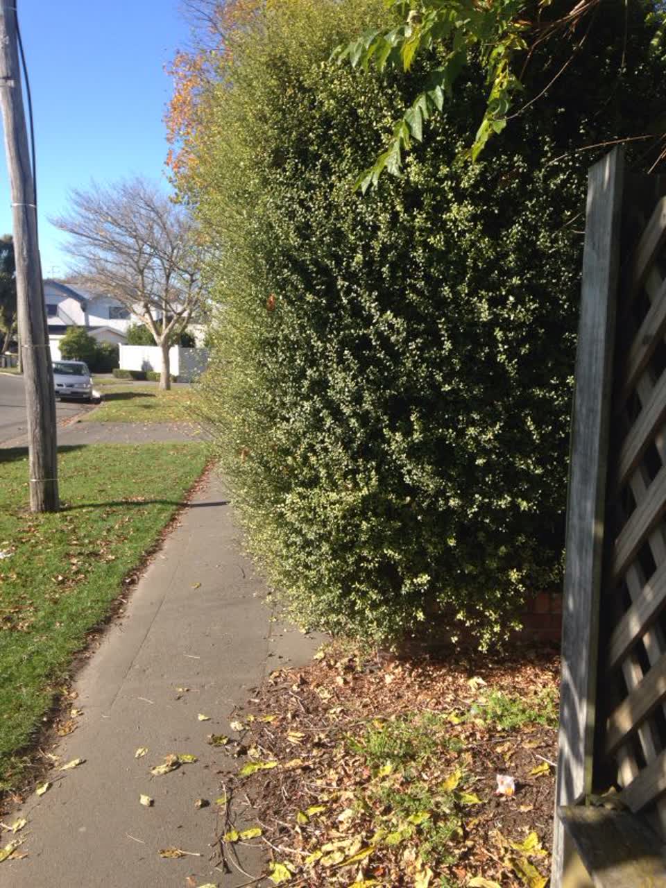 The photograph attached to this roading/streets report