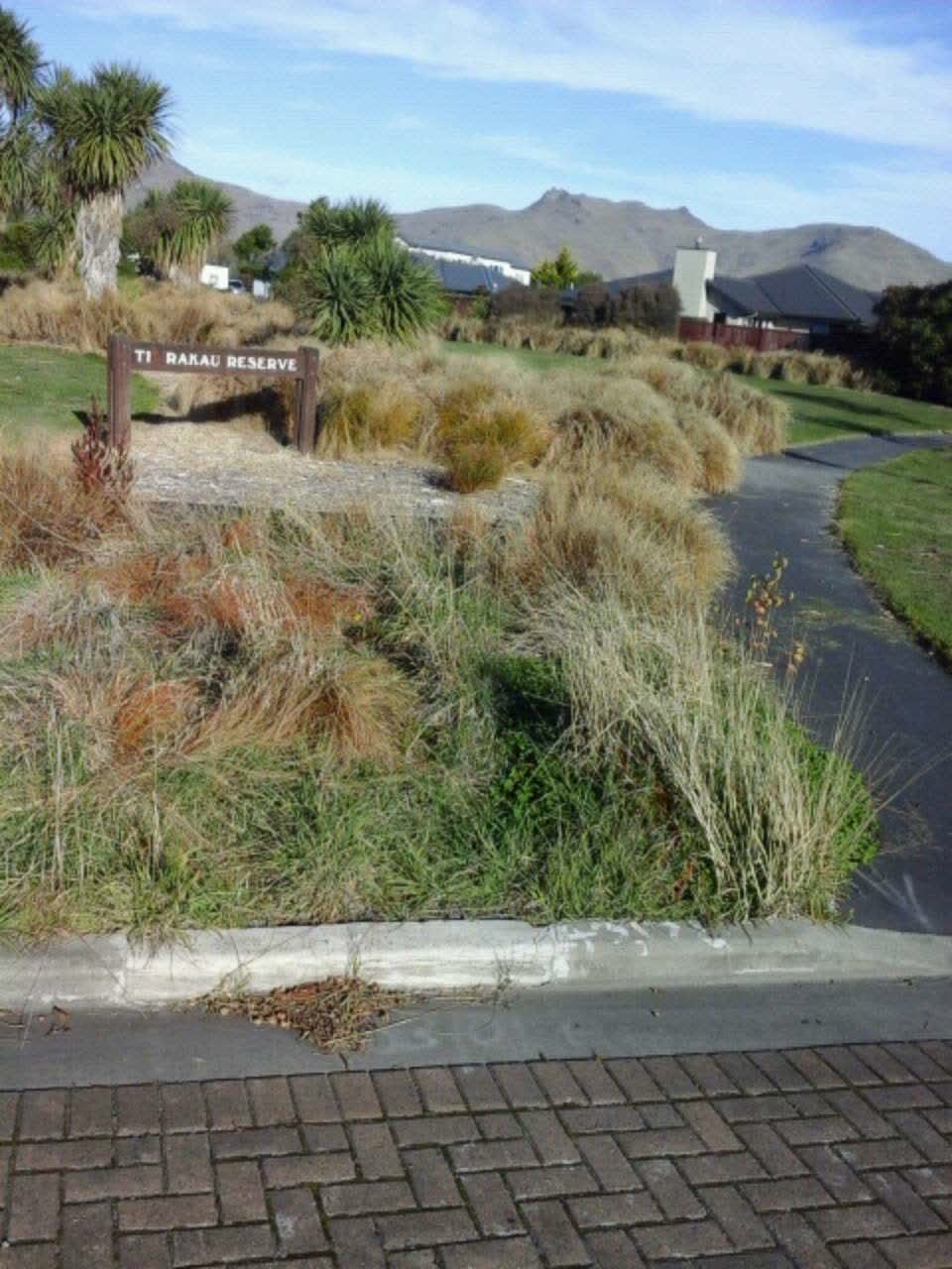 The photograph attached to this parks report