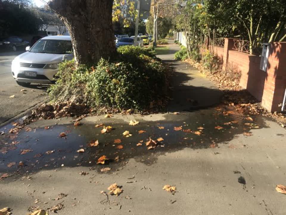 The photograph attached to this water supply report