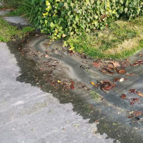 Water Supply, a report photo