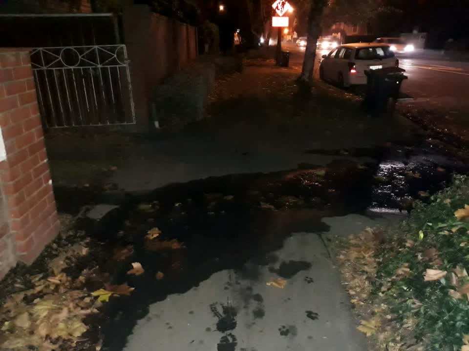 The photograph attached to this water supply report