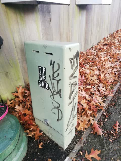 Graffiti, a report photo