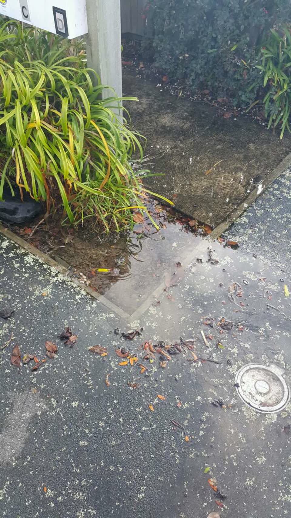 The photograph attached to this water supply report
