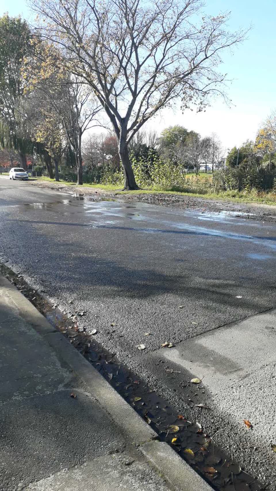 The photograph attached to this water supply report