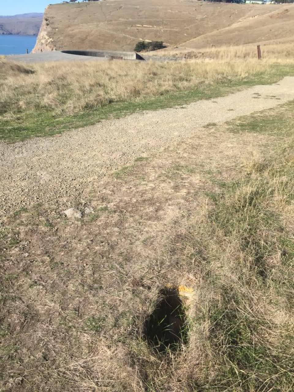 The photograph attached to this parks report