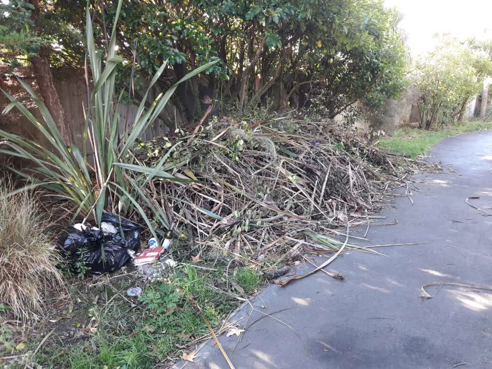 The photograph attached to this parks report