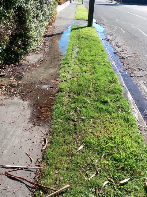 Wastewater/Stormwater, a report photo