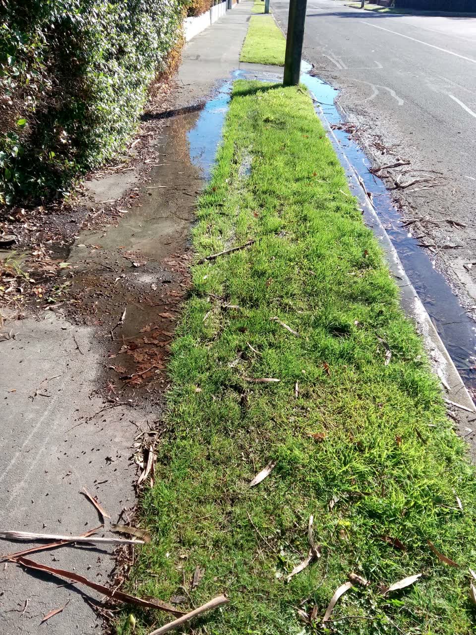 The photograph attached to this wastewater/stormwater report