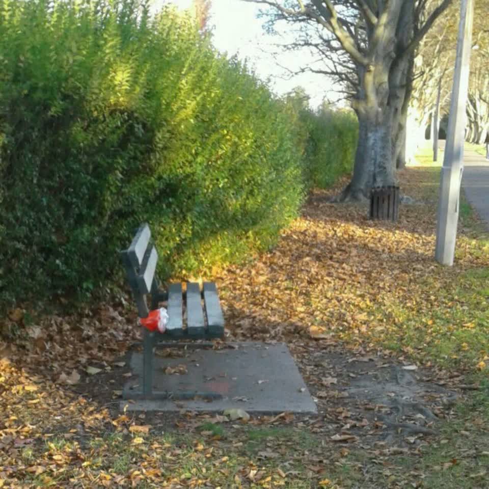 The photograph attached to this parks report
