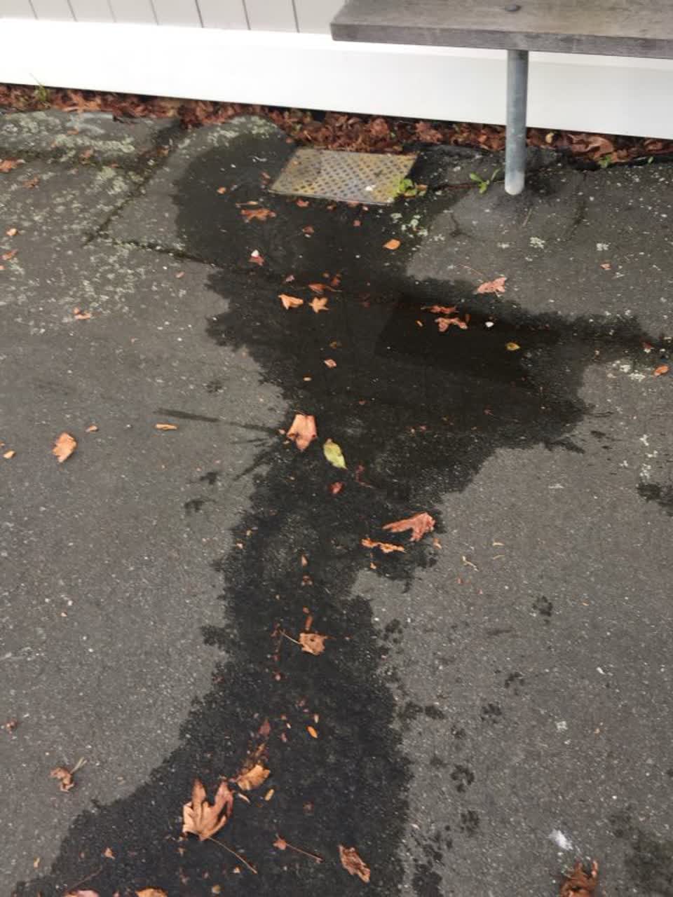 The photograph attached to this wastewater/stormwater report