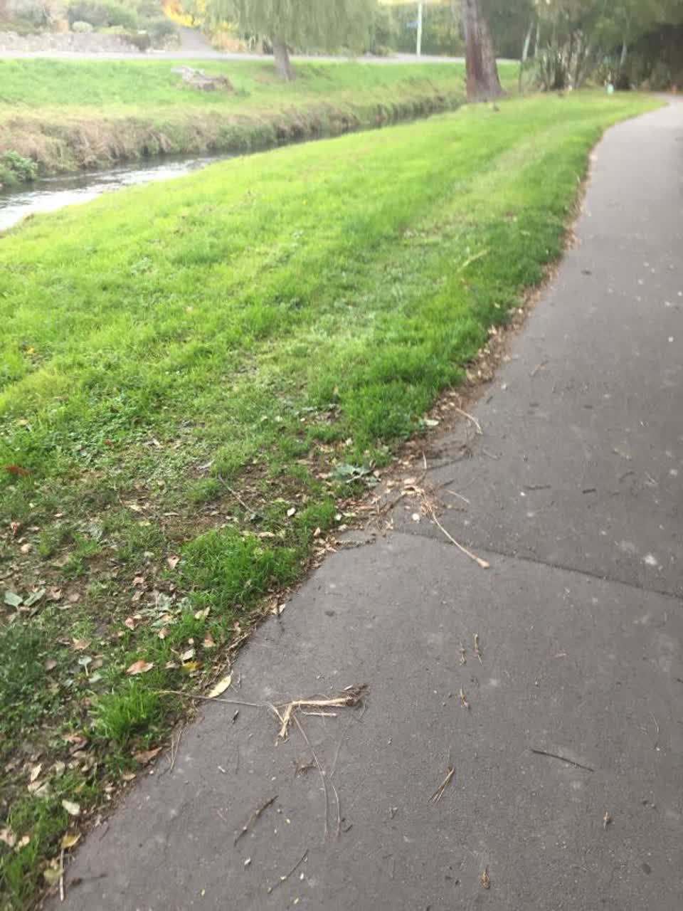 The photograph attached to this parks report