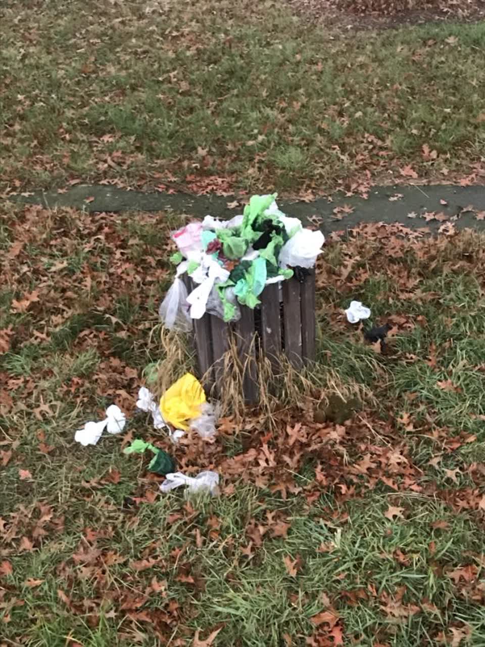 The photograph attached to this rubbish/recycling report