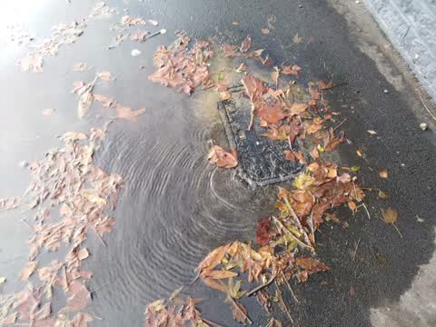 Water Supply, a report photo
