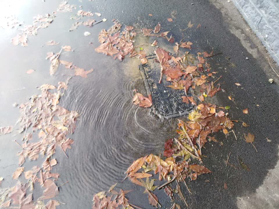 The photograph attached to this water supply report