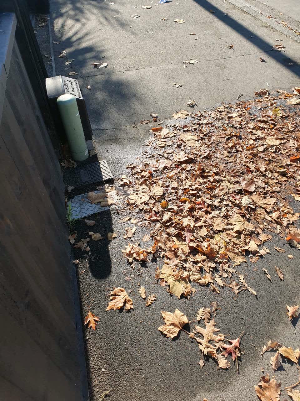 The photograph attached to this water supply report