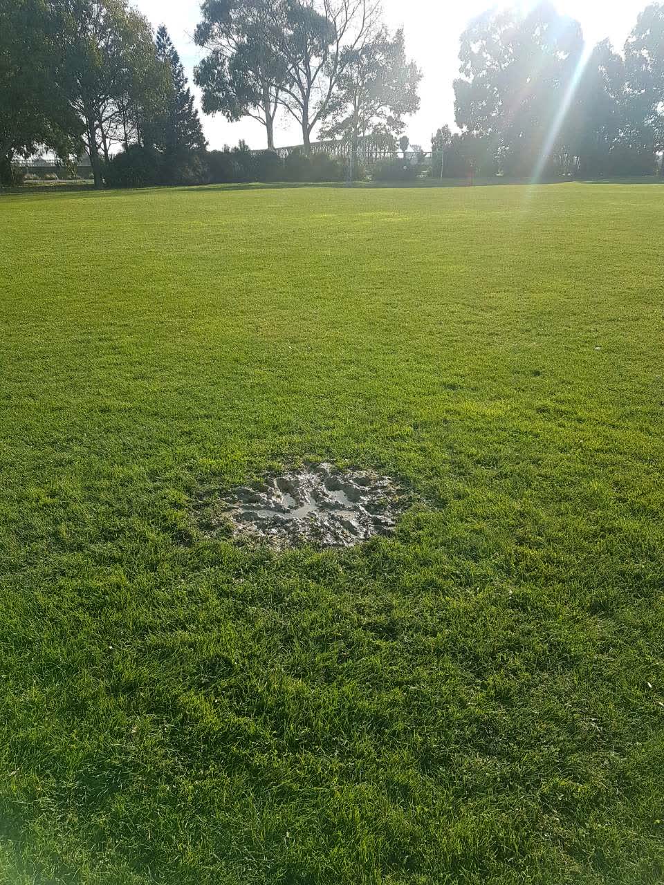 The photograph attached to this parks report