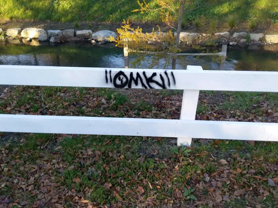 The photograph attached to this graffiti report