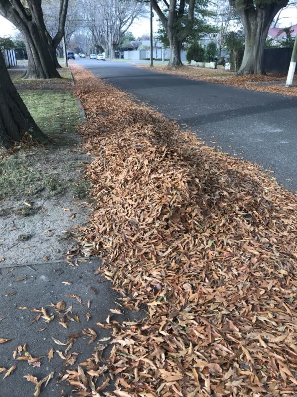The photograph attached to this roading/streets report