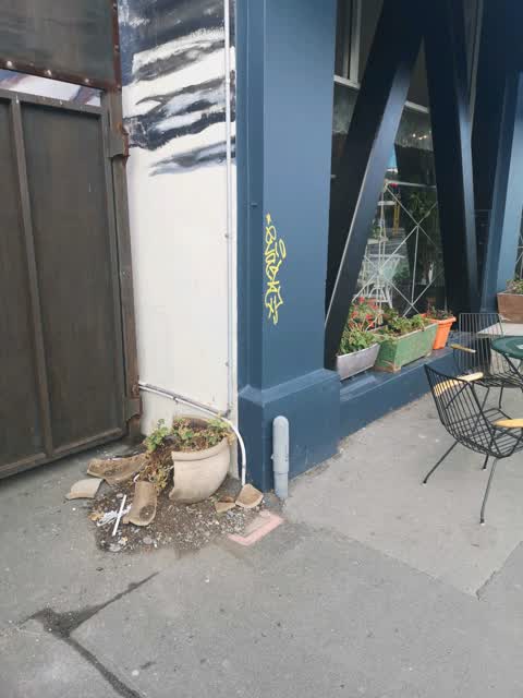 Graffiti, a report photo