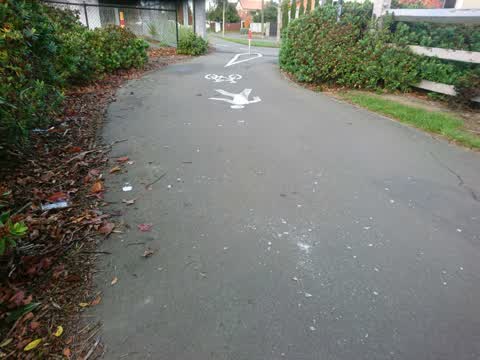 Roading/Streets, a report photo