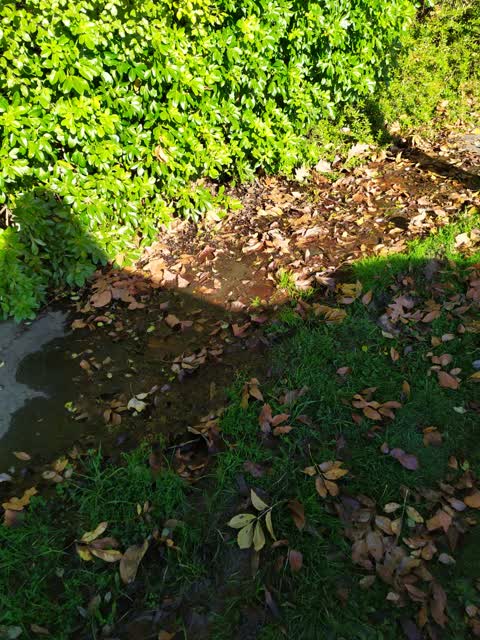 Flooding, a report photo