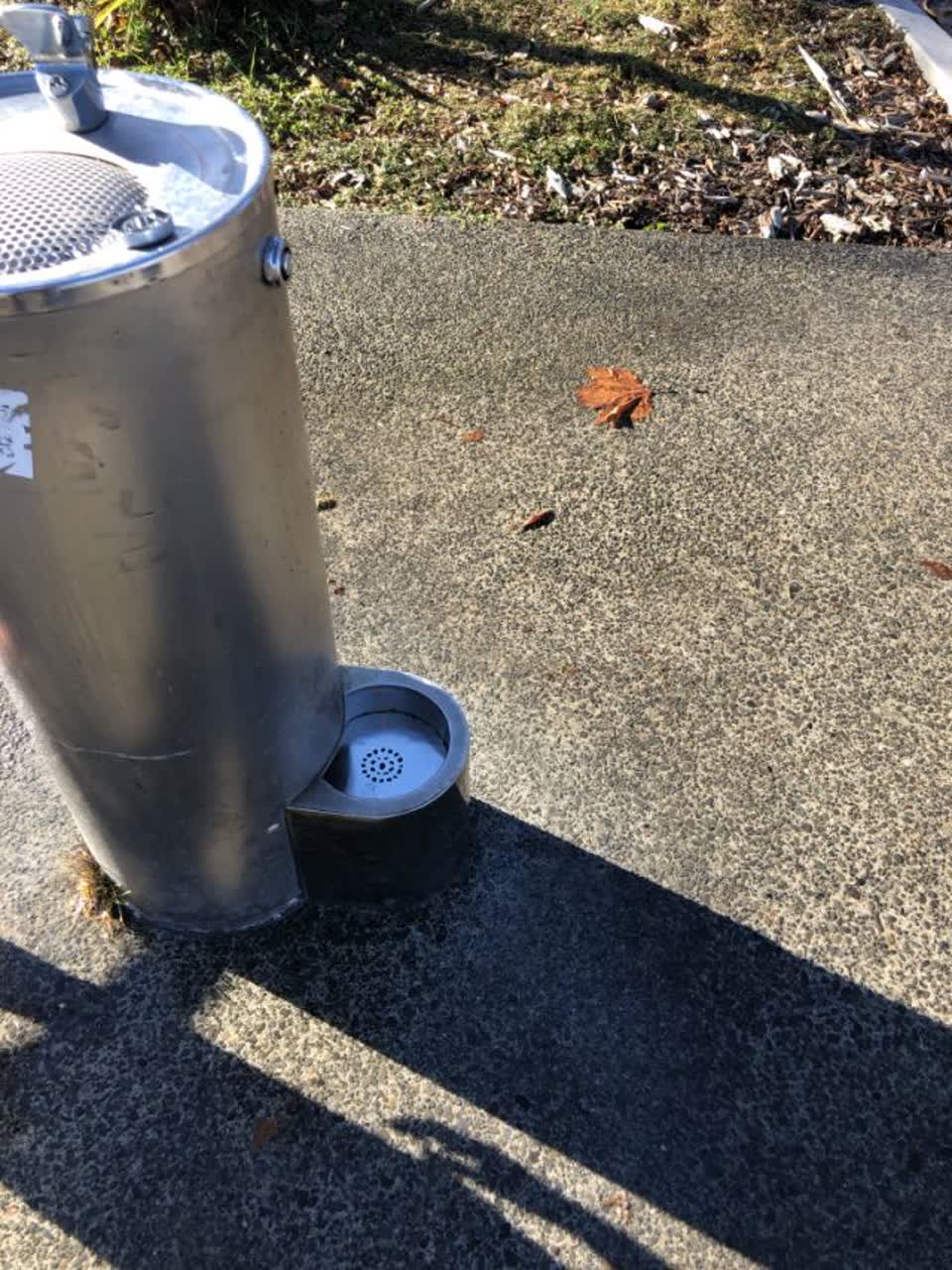The photograph attached to this flooding report