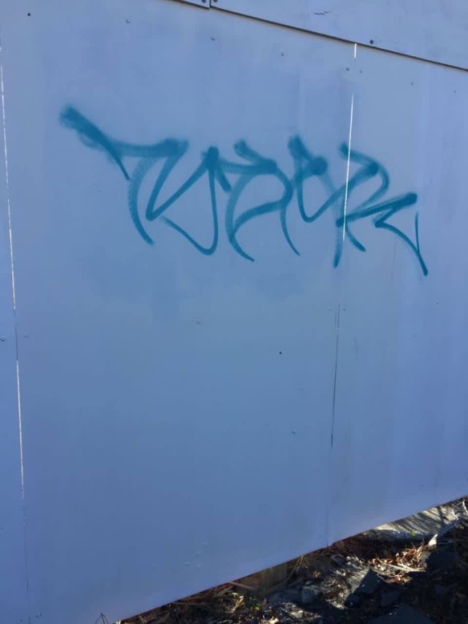 The photograph attached to this graffiti report